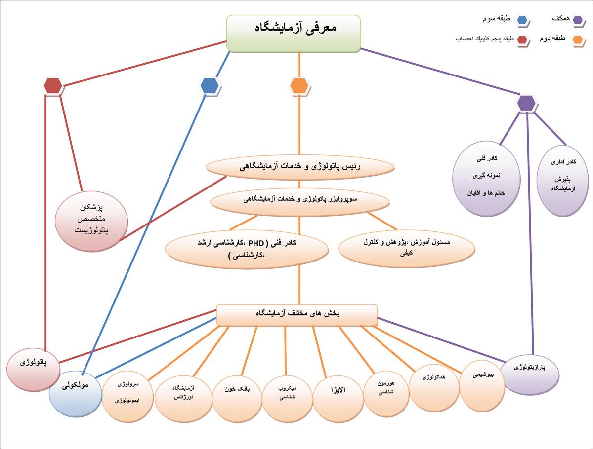 چارت آزمایشگاه
